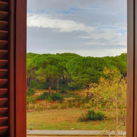 Precioso apartamento a 700 m del mar Chiclana de la Frontera Exterior foto